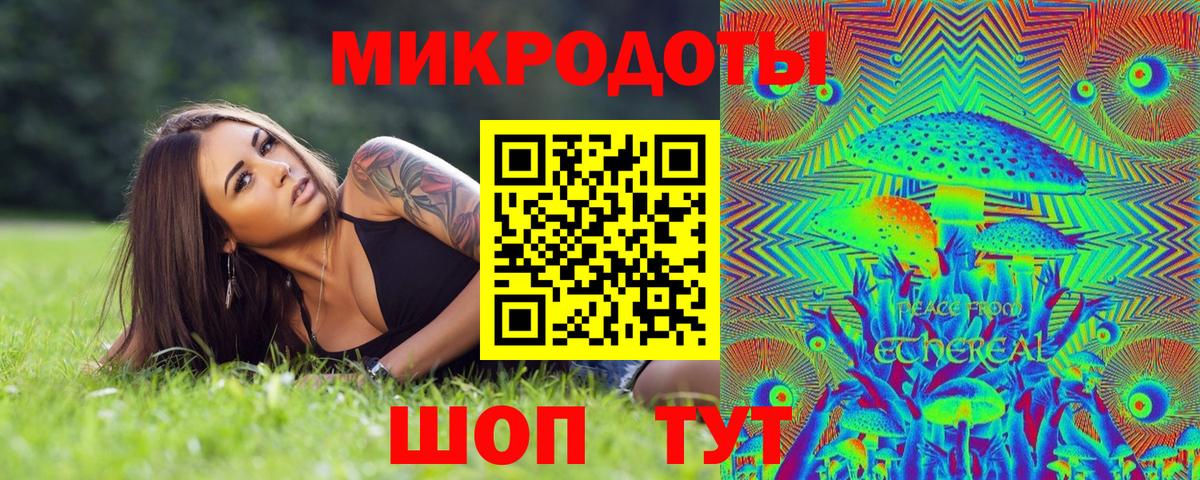 Псилоцибиновые грибы Psilocybe Удомля