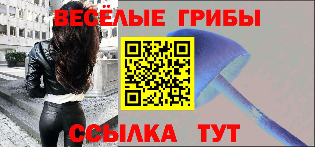 Псилоцибиновые грибы Magic Shrooms  Галлюциногенные грибы Psilocybe  Вход с VPN  Удомля 